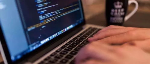 軟件工程與學前教育的交叉 計算機軟件技術開發在早期教育中的應用