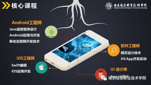南京信息職業技術學院計算機與軟件學院高招專業介紹 計算機軟件技術開發